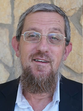 Rav Aryeh Stern